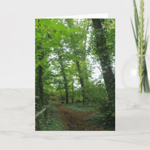 Cartão Path through the Green Forest Greeting Card
