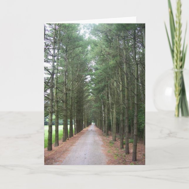 Cartão Pathways (Frente)