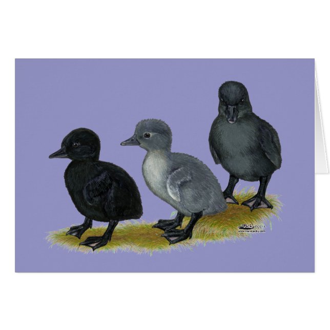 Cartão Patinhos Blue Runner (Frente horizontal)