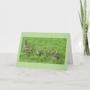 Cartão Pato com Ducklings