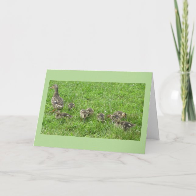 Cartão Pato com Ducklings (Frente)