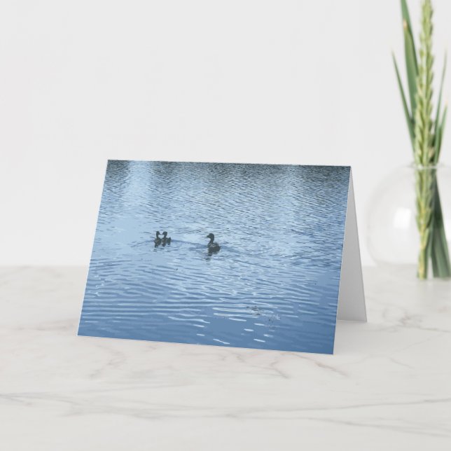 Cartão Pato Com Patos Em Um Lago Azul (Frente)