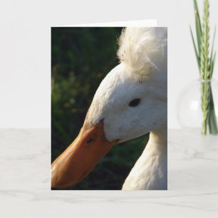 Cartão Pato-de-crista