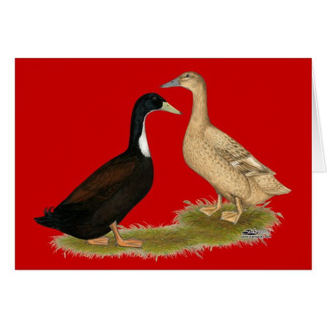 Cartão Pato de Leitura Híbrido (Frente horizontal)