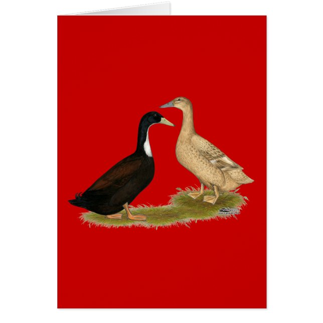 Cartão Pato de Leitura Híbrido (Frente)