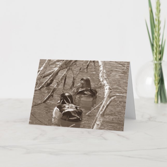 Cartão Pato de madeira Drake e Hen na Sepia (Frente)