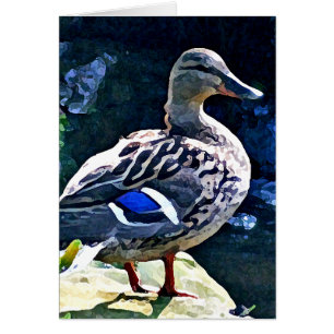 Cartão Pato fêmea que mantem um olho em você