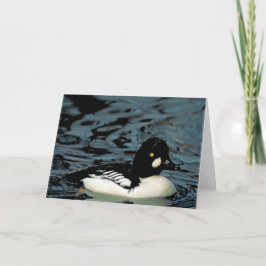 Cartão Pato Goldeneye
