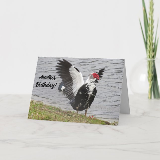 Cartão Pato Muscovy Personalizado Outro Aniversário! (Frente)