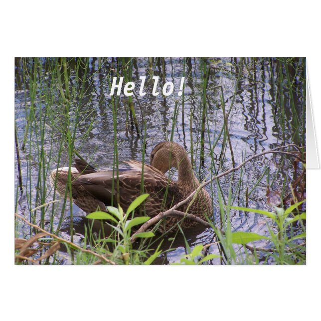 Cartão Pato na água (Frente horizontal)