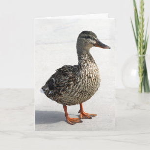 Cartão Pato Pequeno