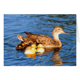 Cartão Pato selvagem da mãe com seus duckllings