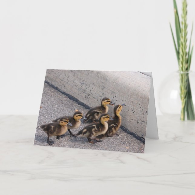 Cartão patos bebês (Frente)