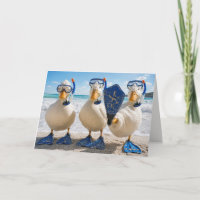 Patos Brancos de Aniversário com Equipamento de Sn