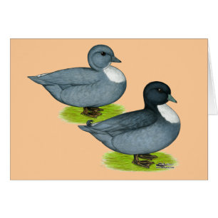 Cartão Patos: Chamadas Azul