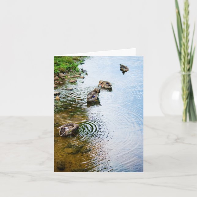 Cartão Patos de alvoroço 2 (Frente)