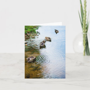 Cartão Patos de alvoroço 2