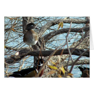 Cartão Patos de madeira