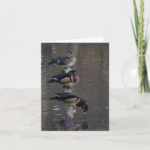 Cartão Patos de madeira em Branch