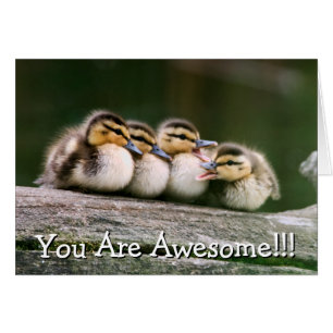 Cartão Patos do bebê