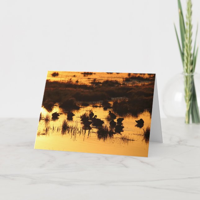 Cartão Patos em Daybreak (Frente)