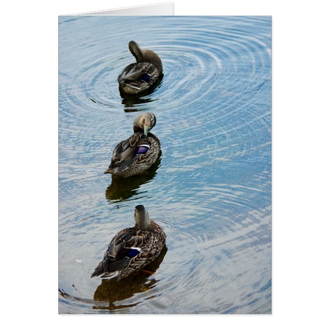 Cartão Patos em uma Fila (Frente)