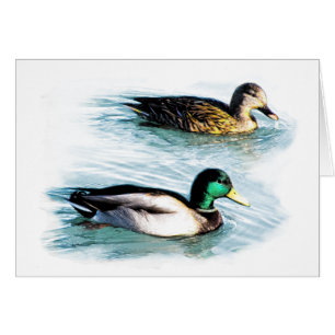 Cartão Patos no lago