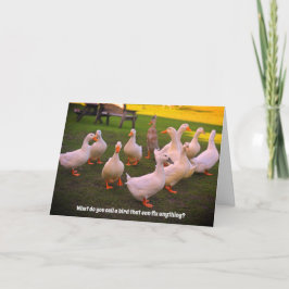 Cartão Patos no Parque da Piada Engraçada Pato Aniversári