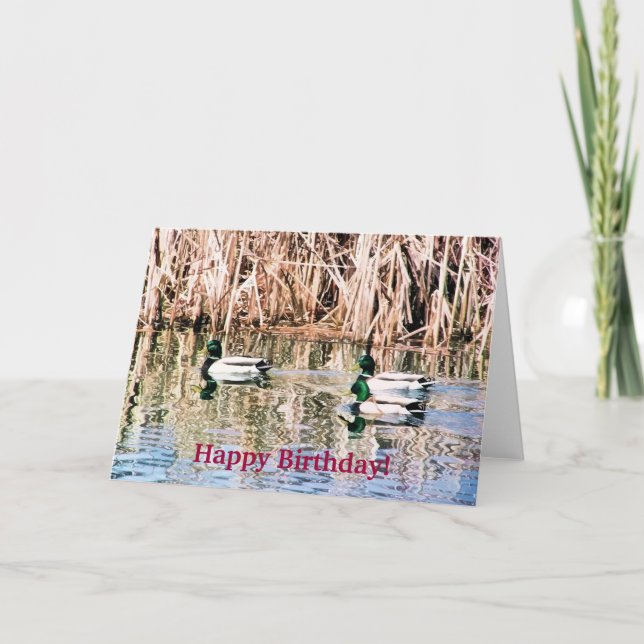 CARTÃO PATOS SELVAGENS (Frente)