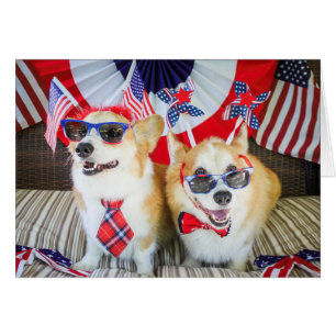 Cartão Patriotic Corgis - 4 de julho