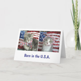Cartão Patriotic kittens