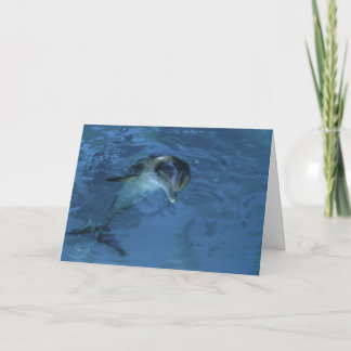 Cartão Pat's Dolphin - birthday card