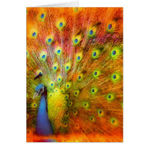 Cartão Pavão