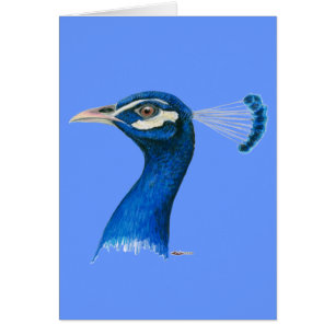 Cartão Pavão: Azul Indiano