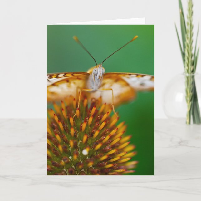 Cartão Pavão branco (Frente)