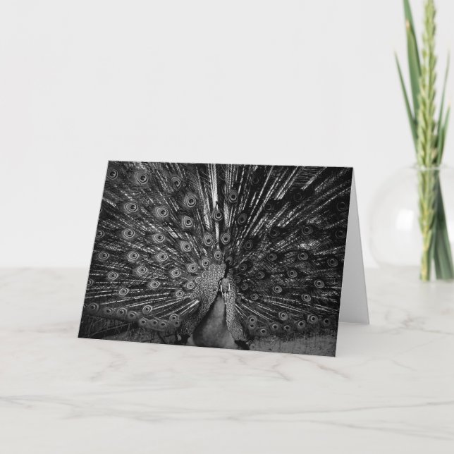 Cartão Pavão com cauda (Frente)