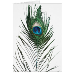 Cartão Pavão Desativado