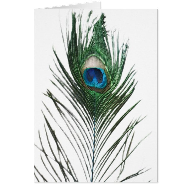 Cartão Pavão Desativado (Frente)