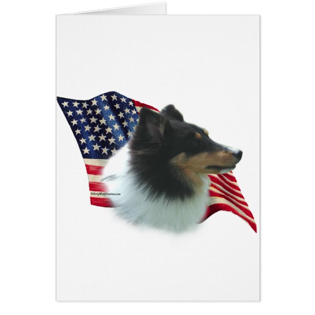 Cartão Pavilhão Shetland Sheepdog (tri) (Frente)