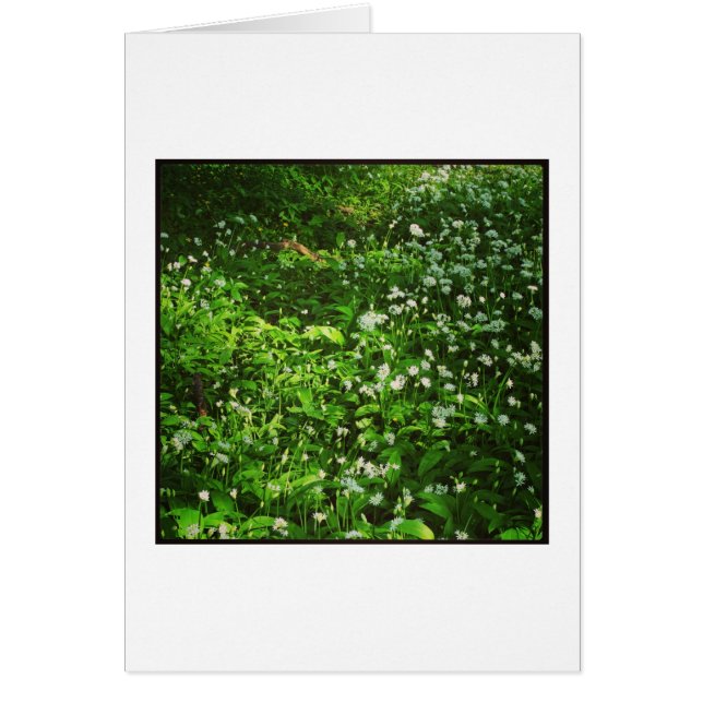 Cartão Pavimento da Madeira (Frente)