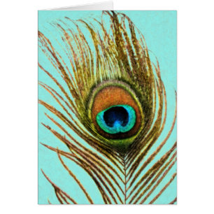 Cartão Pavock Feather Set 1107