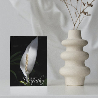 Cartão Paz Branca Lily Floral Simpatia