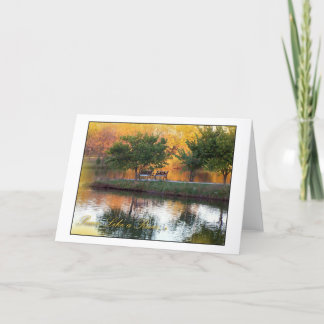 Cartão Paz Como um Rio