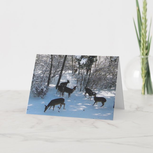 Cartão Paz no Natal (Frente)