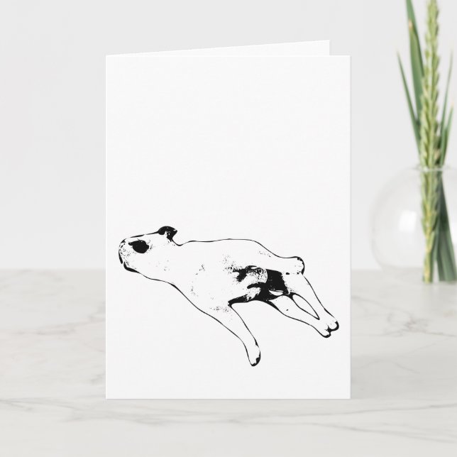 Cartão Paz & Patas (Frente)