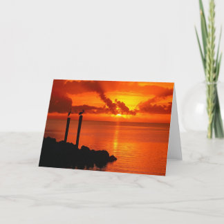 CARTÃO PAZ PERFEITA