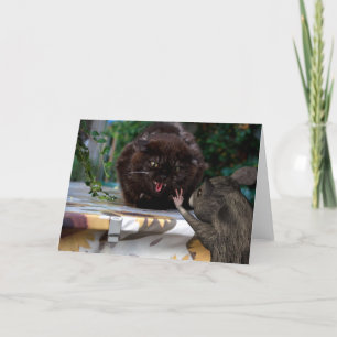 Cartão Paz! Sejamos Amigos