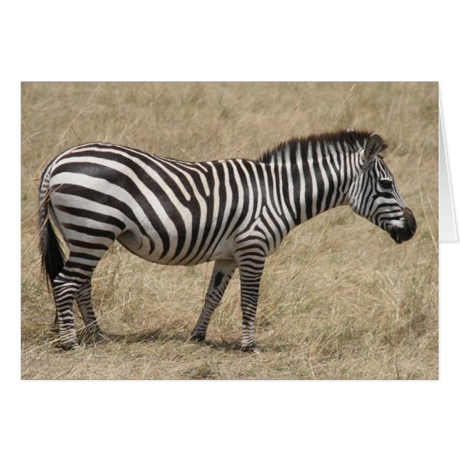 Cartão pé-zebra (Frente Horizontal)