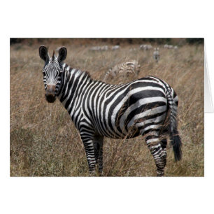 Cartão pé-zebra