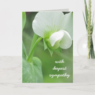 Cartão Pea Blossoms Sympathy Template Greeting Card